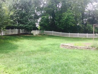 yard.jpg